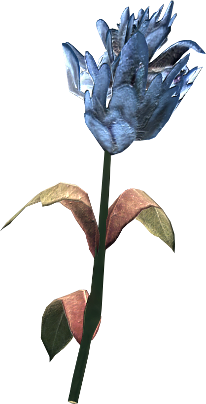 Blue Mountain Flower