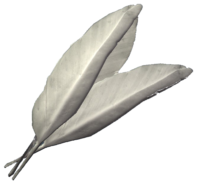 Felsaad Tern Feathers