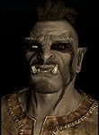 Orc M