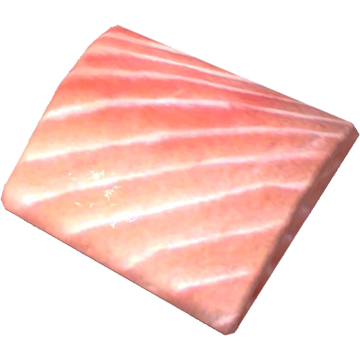 Salmon Meat