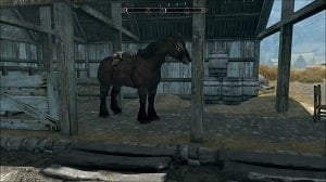 stables mounts skyrim wiki guide 300px